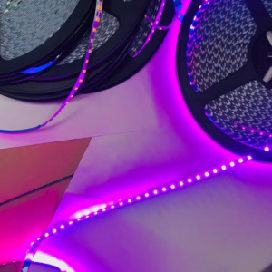 DC12V 6mm purple light 120leds per meter S shape led strip light